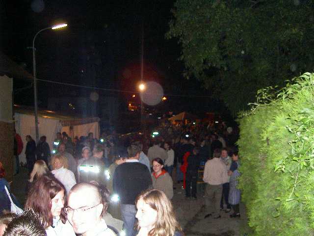 fffest_25
